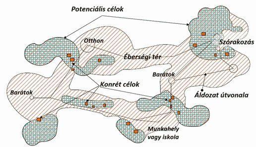 igényli. Neuman és Morgenstern elvárt hasznosság modellje az 1940-es évek végétől ismert, és kockázatos körülmények között meghozott döntéseknél már régóta alkalmazzák, amit itt is felhasználhatunk.