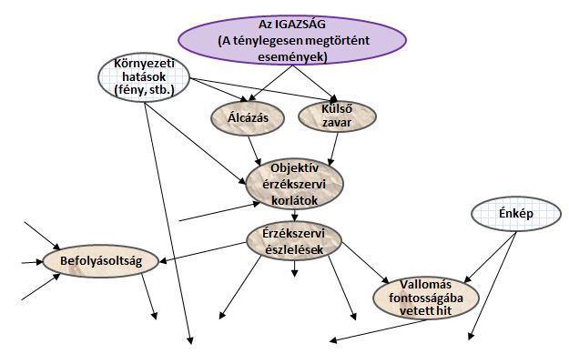 A tanúhoz köthető szubjektív tényező az előítélet, a tanú által valamely bűncselekmény kapcsán elszenvedett sérülés, az elkövető és a tanú kapcsolata, a vallomás fontosságába vetetett hit.