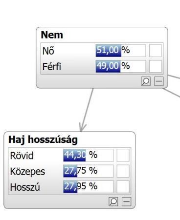 274 A hajhosszúság és a nemi megoszlás részpéldáját követhetjük a következő három ábra segítségével.