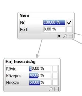 IV-3. ábra A női gyanúsítottak hajhosszúságának megoszlása 277 Amennyiben bizonyíték alapján nő volt az elkövető, úgy az adatbázist női gyanúsítottakra szűrve (100%), s ezzel a férfiakat kizárva (0%)