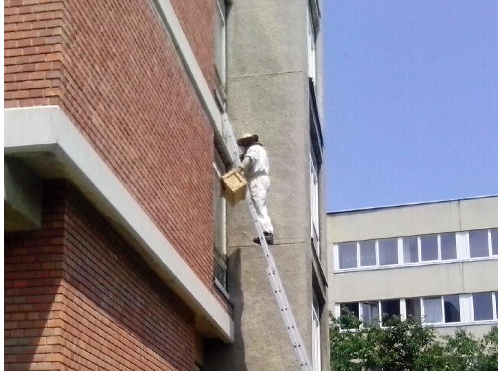 21 alkalmazása mellett az épületben tartózkodó személyt kimentette, ezt követően a tüzet eloltotta. A feladatok végrehajtását a gyakorlat vezetője megfeleltre értékelte.
