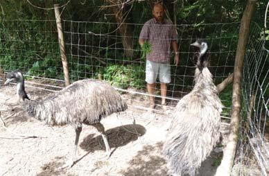 Afrika múzeum Balatonederics Szafari a Balaton partján? Létezik!