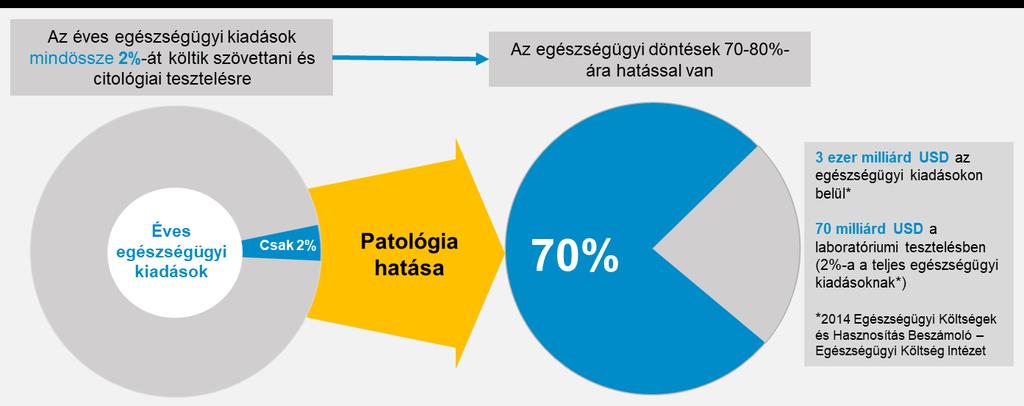 A patológia világszerte egyre hangsúlyosabb szerepet kap a diagnózis felállításában, majd pedig