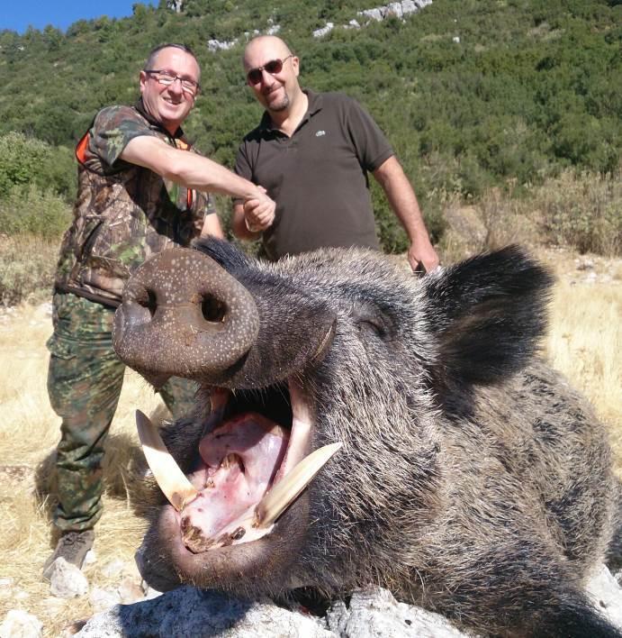 tegyen, ha biztos a megfelelő találatban. Sebzés esetén a megadott sebzési díjat kell kifizetni. Javasoljuk vendégeinknek, hogy az agyarak lemérésénél legyenek jelen, és ellenőrizzék azt.