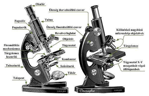 fénymikroszkóp