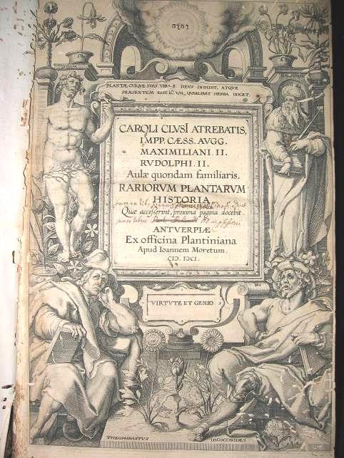 Clusius: