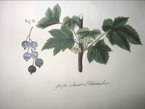 1792-1796