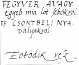- kb. 940 oldal, 6 fejezettel a betegségek tüneteiről, gyógymódokról, tanulságokról: 1. betegségek, orvosságok 2.