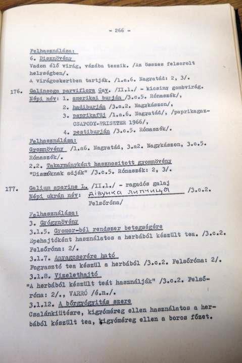 Kóczián Géza 1985.