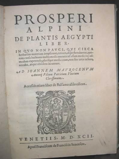 Alpinus: