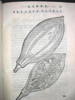 (1592)