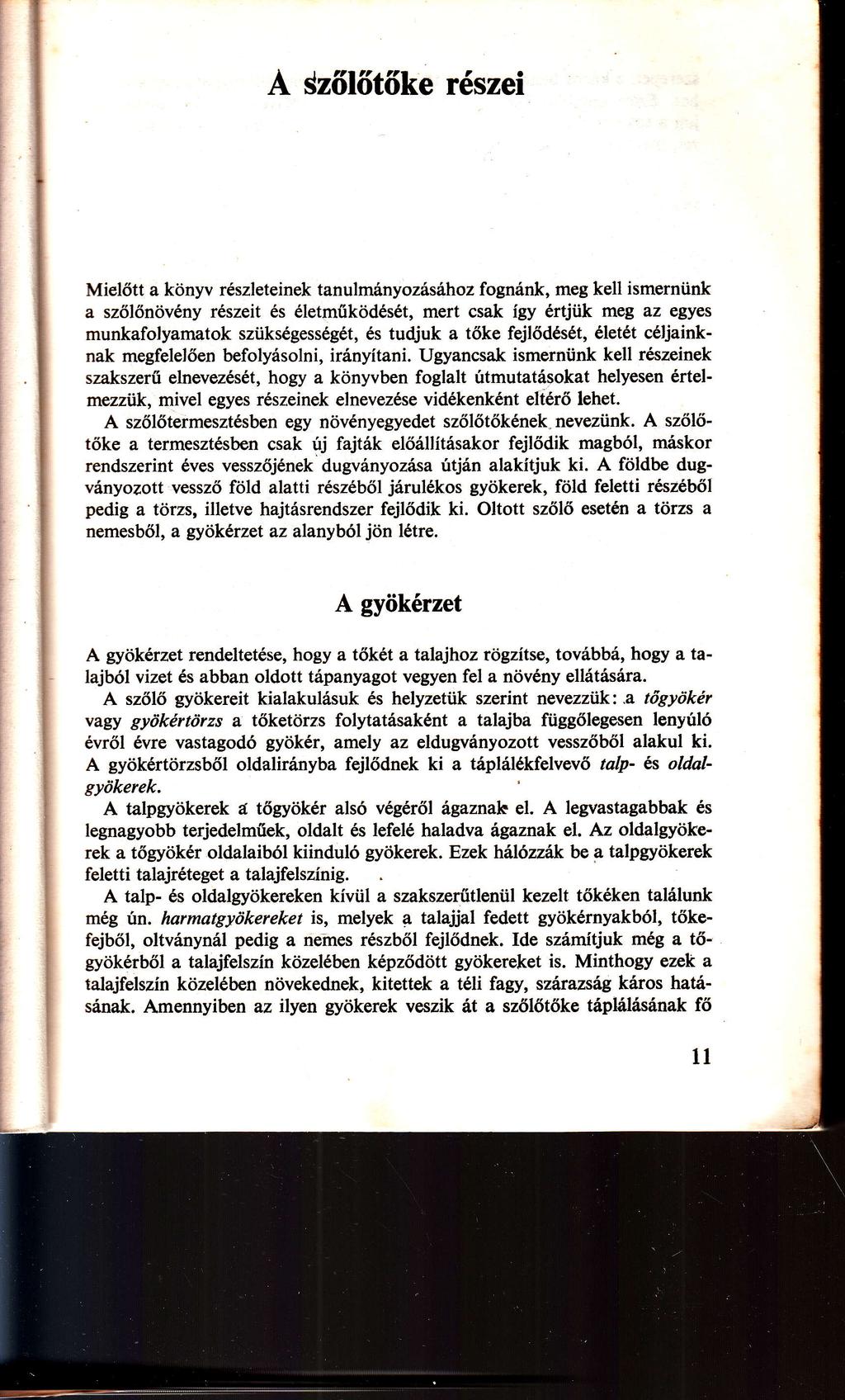 ő ő ő í ő ö ü ő ő ö ű ö í ü ü ő ő ő í ü ű ö ú ő ő ő ö ő ő ő ü ő ő ő ú ő í ő ő ú í ö í ő ö ő ö ö ő ö ő ő ő ö ő ö ö ö ö ő ö í ö ő