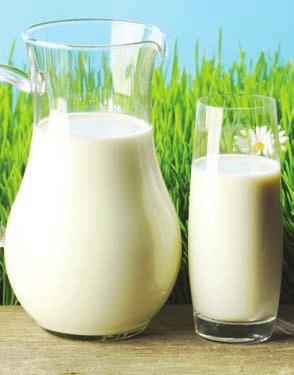 KYR joghurt 500 ml Président Camembert sajt 3 íz