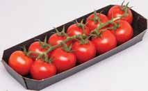 paprika Ft/db, extra méret, 21-24 cm,