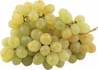 koktélparadicsom 450 g, 887 Ft/kg,