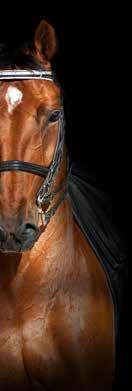 ariat.hu EGÉSZSÉGÉÉRT www.ariat.hu Ifj.
