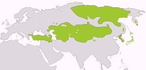 Az altaji népek földrajzi helyzete (forrás: htp://en.