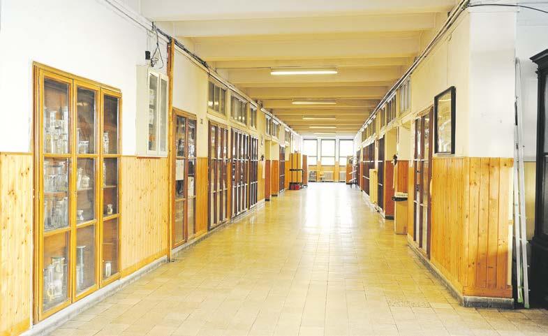 2 OKTATÁS csepeli hírmondó csepeli hírmondó EGÉSZSÉGÜGY 3 Csepeliekkel közösen fejlesztik a Jedliket Az egyeztetőtanács Klinghammer István egyetemi tanár, a Magyar Tudományos Akadémia rendes tagja,