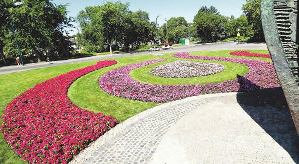 Közel 43 ezer négyzetméternyi területet gyepesítettek és több mint 180 ezer növényt ültettek. Új közösségi tereket hoztak létre, a pihenést pedig több mint 140 új parki bútor segíti majd.