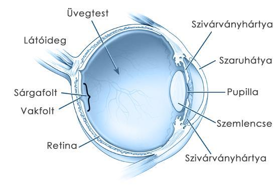 színét.