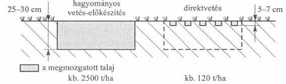 ségű gépeket függesztett kivitelezéssel is készítenek. A munkaszélesség 12 cm-es sortáv esetén 3,5-4 m között alakul.