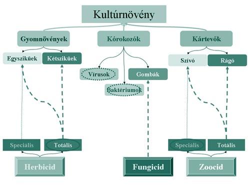 22. ábra: Kártevők és kórokozók a növényvédelemben és az ellenük használt kémiai eszközök (forrás: https://www.biokontroll.