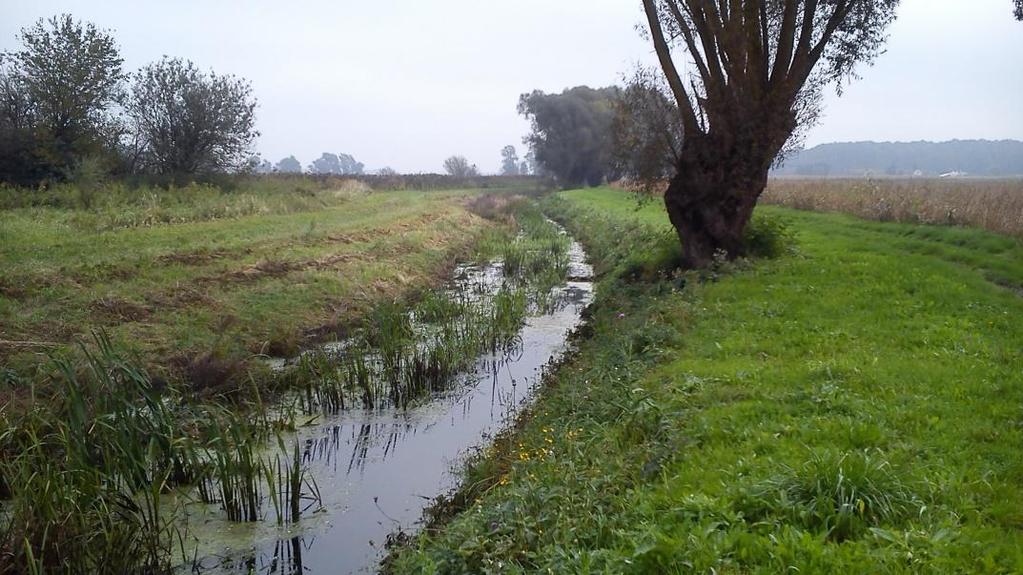 16 km Kotrandó