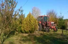 A támogatásból hortobágyi racka juhokat, alpesi kecskéket, mangalica süldő malacokat, kendermagos tyúkokat, magyar parlagi tyúkokat, gyöngytyúkokat és egy méhcsaládot, illetve szaporítóanyagokat