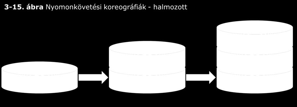 5 fejezetet a GS1 adatmegosztási szabványok nyomonkövetési koreográfiákkal való kapcsolódási módjairól szóló további