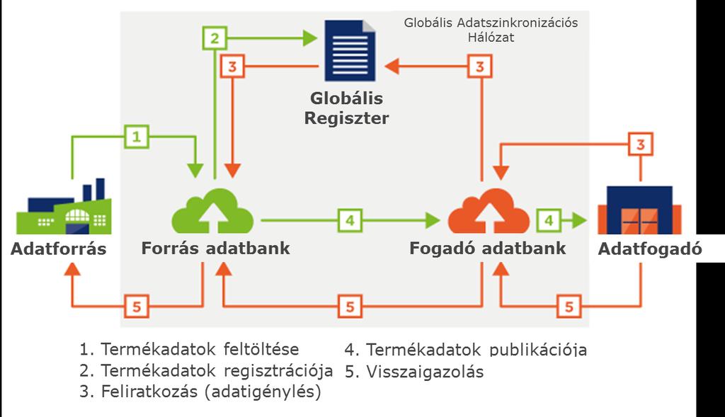 5-15. ábra A GDSN folyamatai A GS1 azonosító kulcsok a kereskedelmi áruk e hálózaton belüli azonosításakor jutnak szerephez.