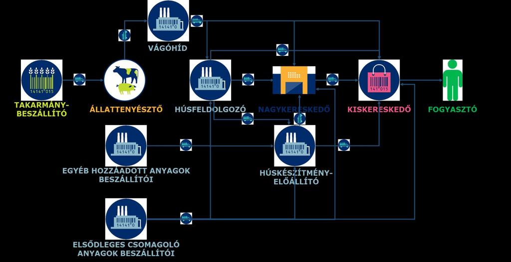 6-1. ábra FRISS HÚS ÉS HÚSKÉSZÍTMÉNY ELLÁTÁSI LÁNC - négylábú állatokból