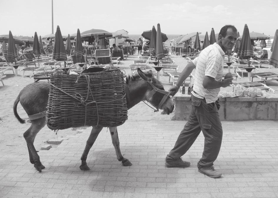 6.24. fénykép. A málhás szamár a mozgó árusítást is szolgálja az Durres-i strandon (Albánia) szakszervezetekbe és szövetségekbe tömörülnek, hogy hatékonyabban működhessenek.