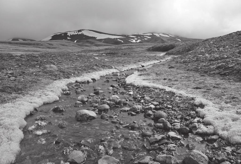 3.17. fénykép. Az izlandi tundra A földművelés a tundra területén nagyon korlátozott, s csupán az övezet déli peremén lehetséges.