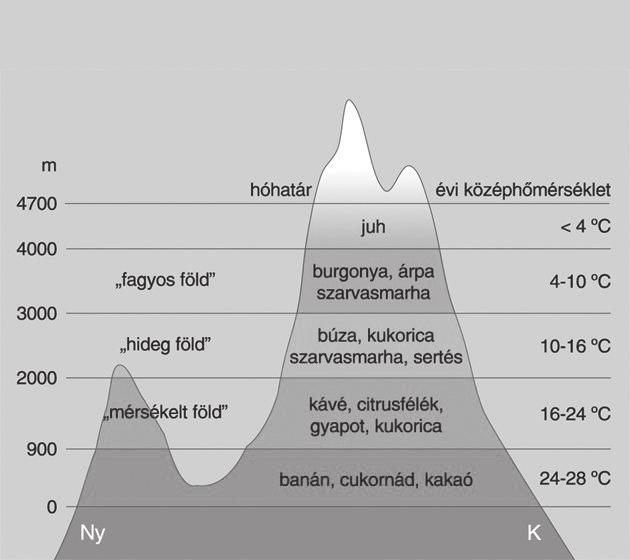 600-800 m tengerszint feletti magasságtól tovább emelkedve a csökkenő hőmérséklet hatására minden övezetben kezd megváltozni a mezőgazdasági termelés jellege.