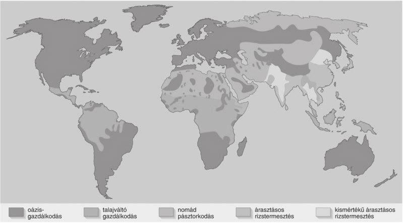 modern mezőgazdasági típusok: mediterrán mezőgazdaság vegyes gazdaságok tejtermelés-tejgazdaság ültetvényes rendszer ranchgazdálkodás nagyüzemi gabonatermesztés 4.1.