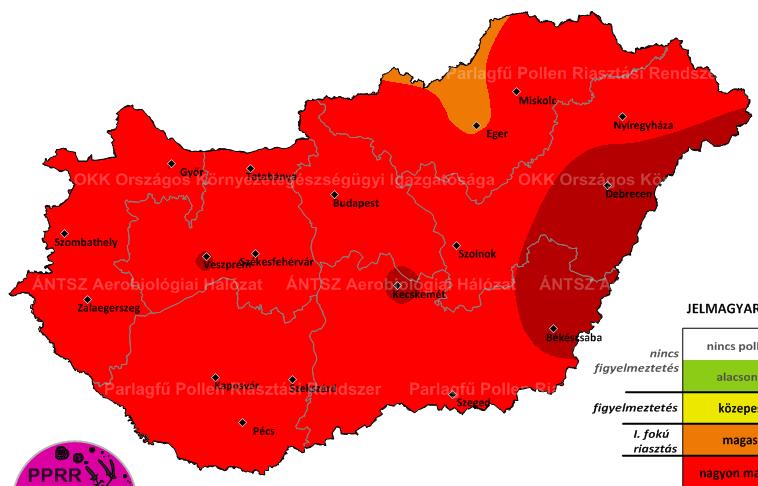 7. ábra: A 2015-ös és 2016-ok parlagfű szezon összehasonlítása a szezon középső három hetére,