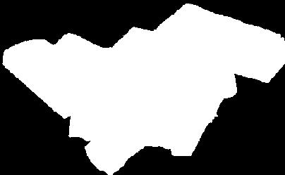 : 06-88/372-460; Fax: 06-88/870-001 Mobil: 06-30/507-4989