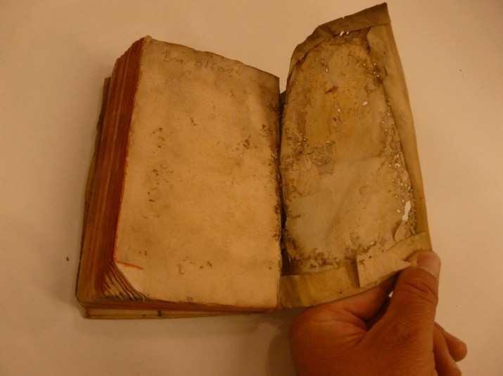 Bar. 01603 Andreas Eudaemon-Joannes, R. p. Andreae Eudaemon-Ioannis Cydonii e Societate Jesu, ad actionem proditoriam Edouardi Coqui, apologia pro r.p. Henrico Garneto Angelo, eiusdem societatis sacerdote.