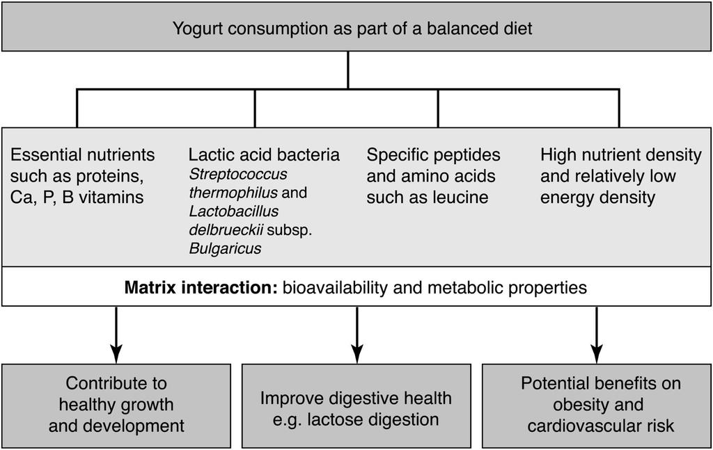 Proposed mechanisms by which yogurt consumption as part of a balanced diet exerts