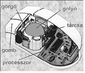 Mechanikai egér Az egér mozgatása elforgatja a golyót. Az X és Y hengerek tartják a golyót, és továbbítják a mozgást.