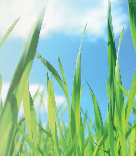 MOSÓGÉPEK eco image pending Az ideális beállítás kiválasztásával energiát takaríthat meg Az Ön életvitelére tervezve A