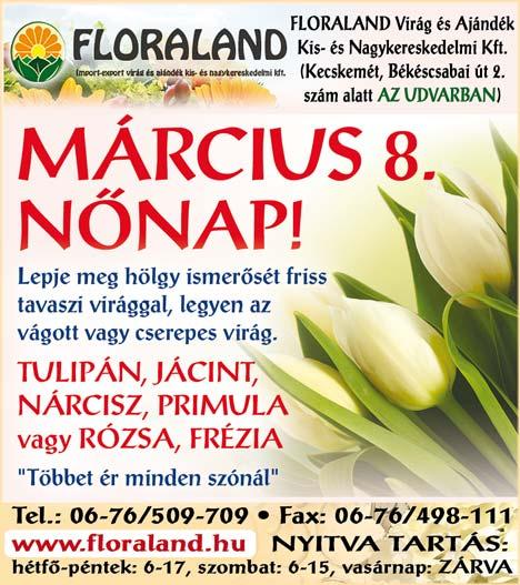 MECSÉRY ILONA főorvos mammográfiás