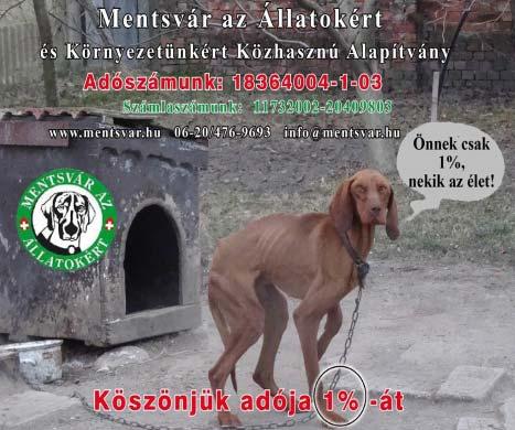 : +36 30 979 9529 KÖNYVEKET, hanglemezt, folyóiratokat, képeslapot, játékot, órákat, hagyatékot gyűjtő vásárol.
