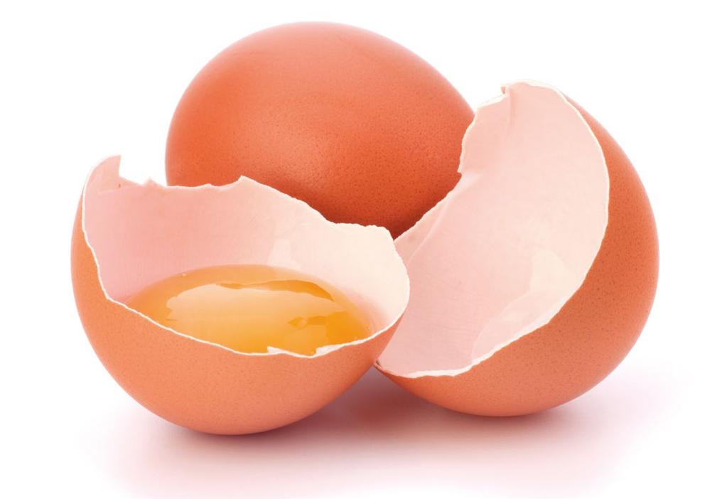 14. HÚSIPAR Tojáskészítmény Pasztőrözött, homogenizált, illetve tartósított vegyes tojáslé vagy ennek porításával nyert olyan termék, amely természetes arányban tartalmazza a tojássárgáját és a