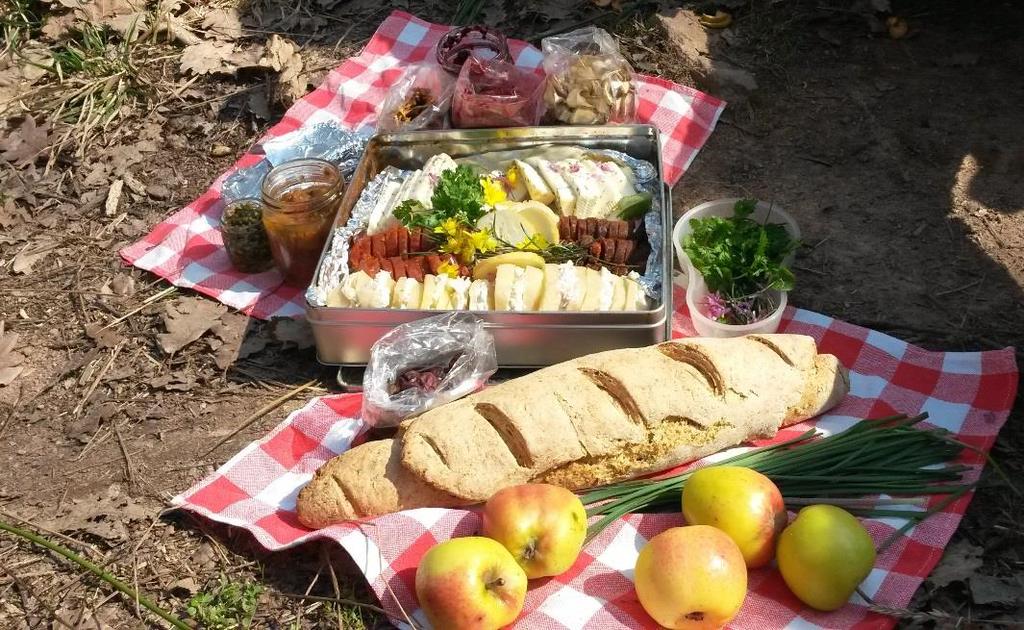 Erdei piknikre valók Sokat megyünk a hegyre családokkal, vagy csoportokkal és közben megéhezünk, így született meg az erdei piknik, a gazuzsonna, vagy a vadonwelnesz ötlete.