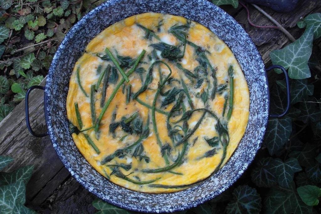 Komlóspárgás tojáslepény A komlós frittata az olaszok kedvelt tavaszi étele. Hasonló, komlós tojáslepényt készíthetünk.