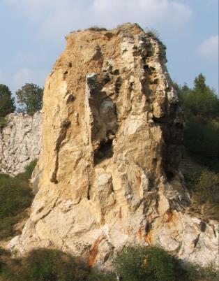 lakókörzeti közpark funkció (pl. Kis-Svábhegy).