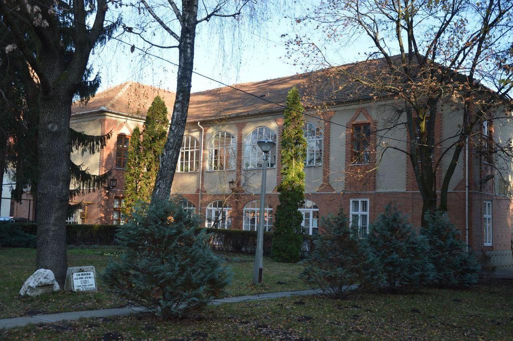 A Polgármesteri Hivatal felől a