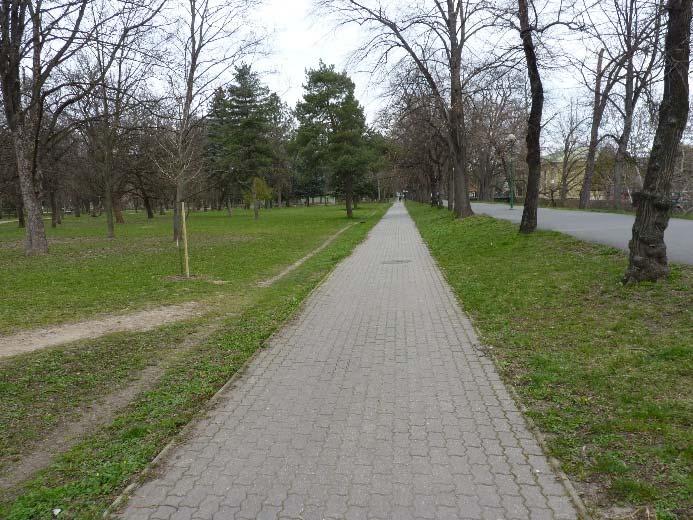 Mivel térkőburkolata kerékpározásra mérsékelten alkalmas, sokan a párhuzamos (széles,