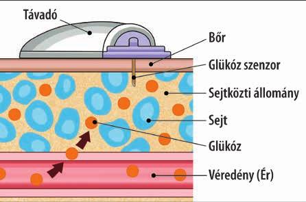 A kalibráció egy nagyon fontos kiindulópont, mely nélkülözhetetlen a szenzor optimális működéséhez.